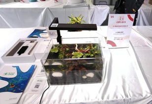 CIPS2019新品区一览丨最终趴：文化传媒创新亮点盘点